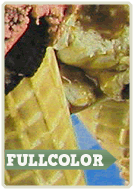full color banners