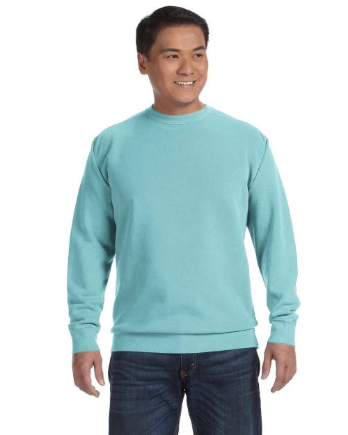 Comfort Colors 1566 Garment Dyed Sweatshirt Tiny Fish Printing
